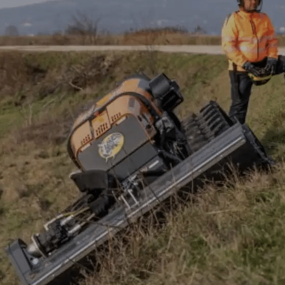 SC RENT TIM BBCONST SRL